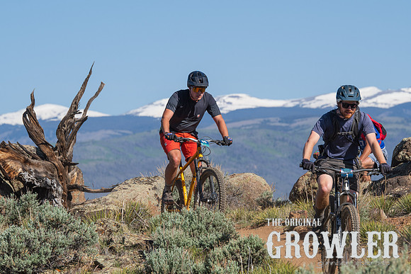 IMGP3436