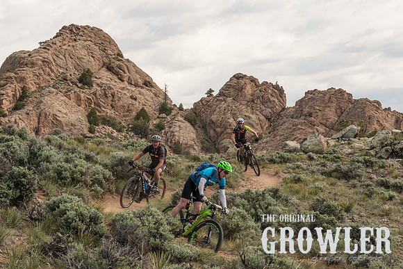 IMGP2094