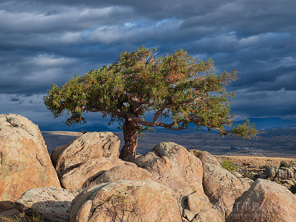 DSCF6340-Edit