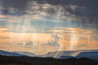 Featured Images