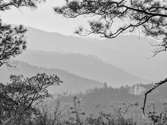 IMGP2121-Edit