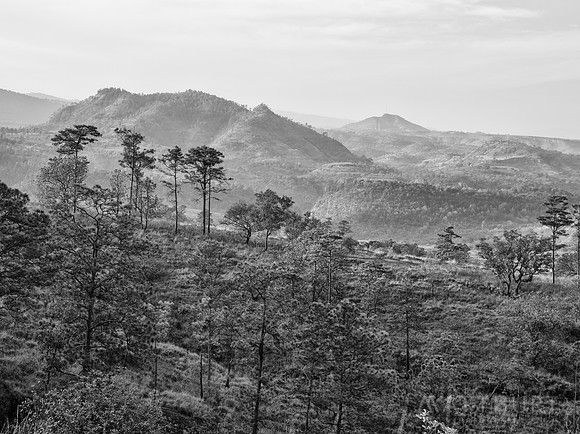 IMGP2096-Edit-2