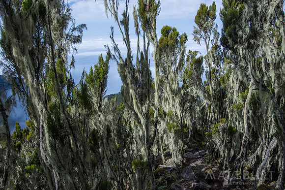 IMGP9235