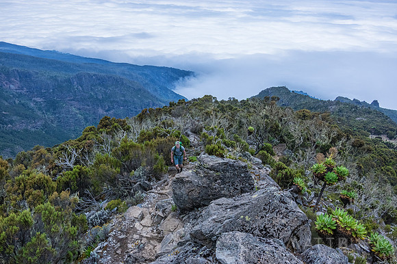 IMGP9308-Edit