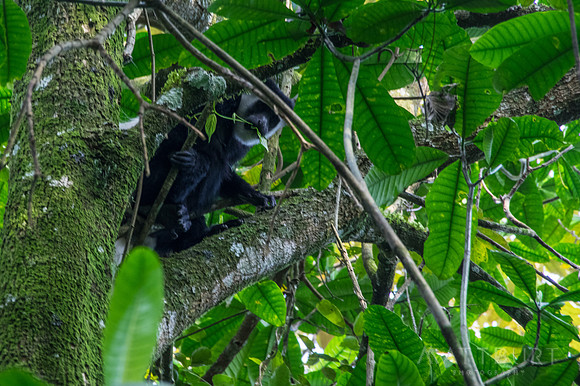 IMGP0222