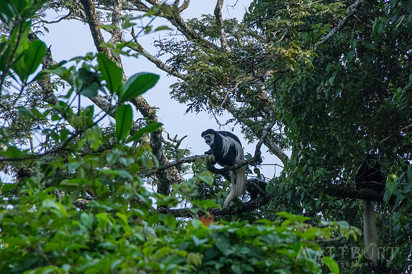 IMGP0225