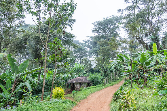 IMGP0287