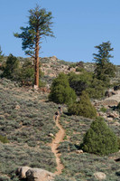 IMGP0877