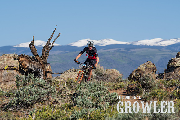 IMGP3114